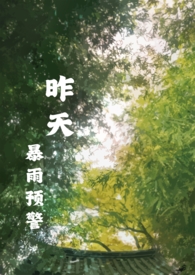 昨天暴风雨加冰雹